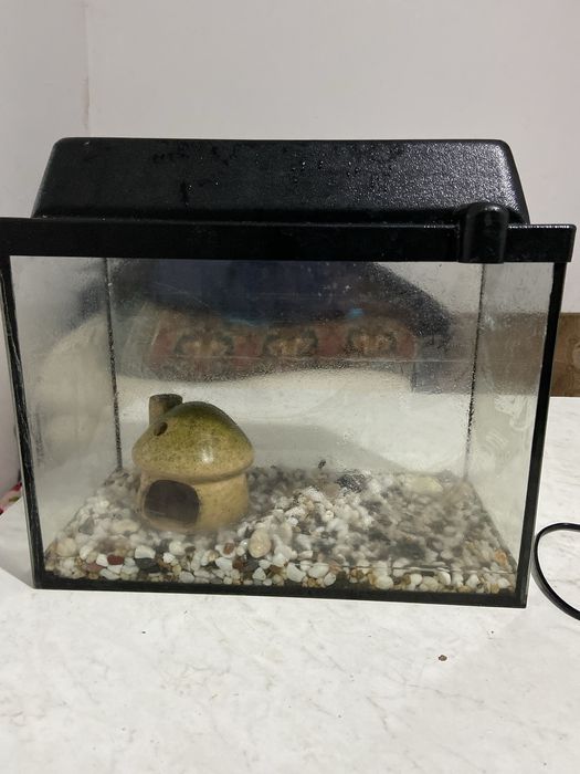 Продам аквариум срочно