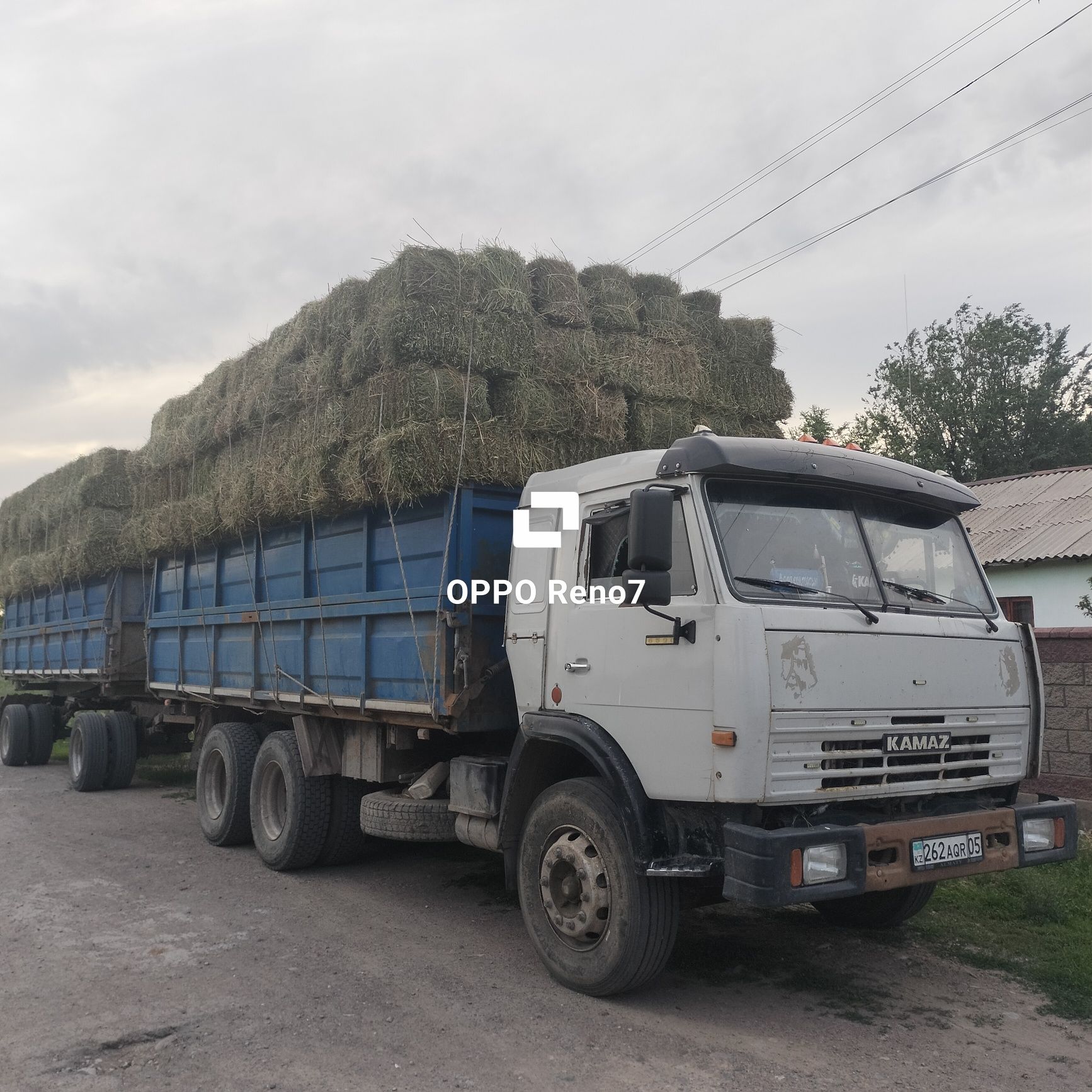 Сено люцерна, разнотравье с доставкой КАМАЗ С ПРИЦЕПОМ