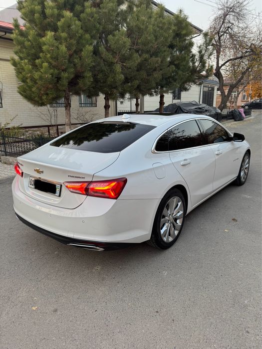 Malibu2 Premier Tozza Ideal Bitta qol srochna