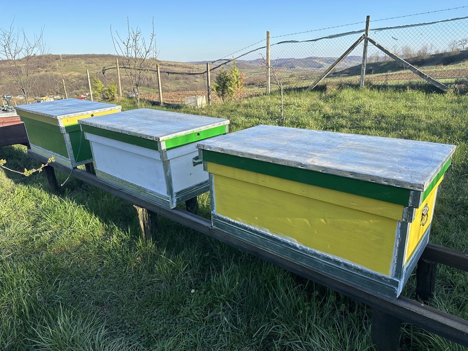 Stup Orizontal /Albine /Ladă