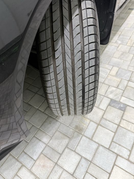 Jentra srochna sotiladi ozimniki