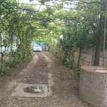 Casa de vânzare cu gradina și teren arabil