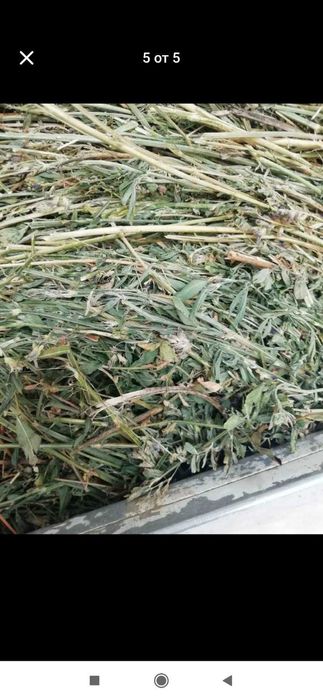 Рулонни бали-люцерна,сено и слама