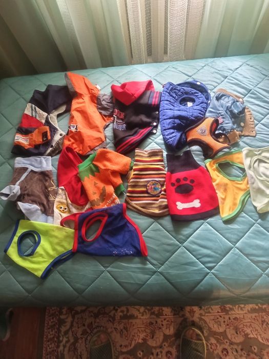 Одежда и все аксессуары для маленькой собачки!