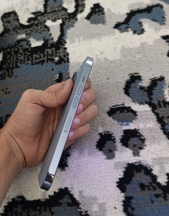 Iphone 13 pro ideal