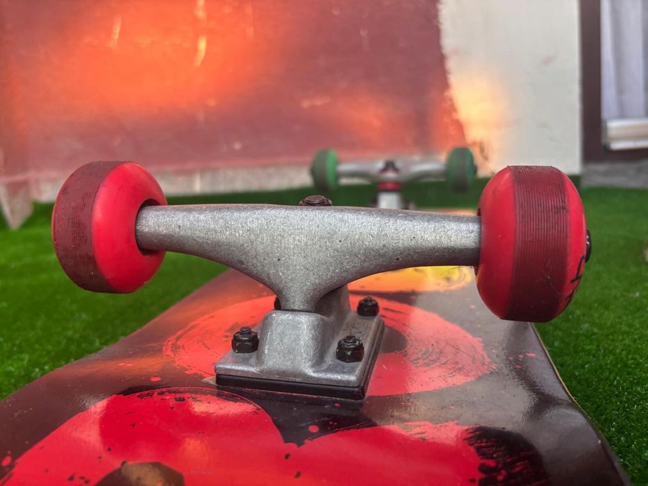 Trotineta si skateboard