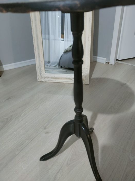 Măsuță vintigi neagră