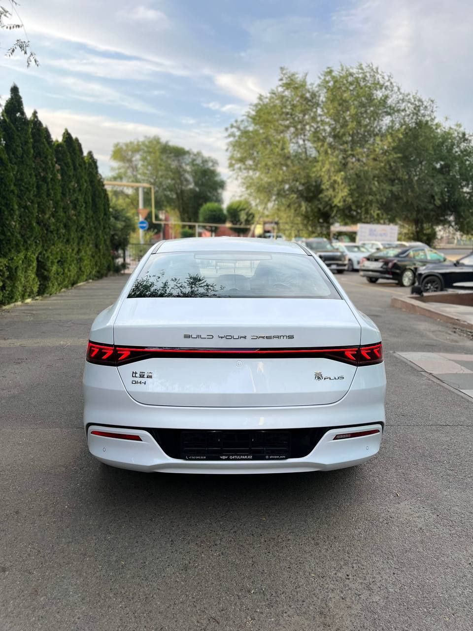 Byd qin plus (без пв)