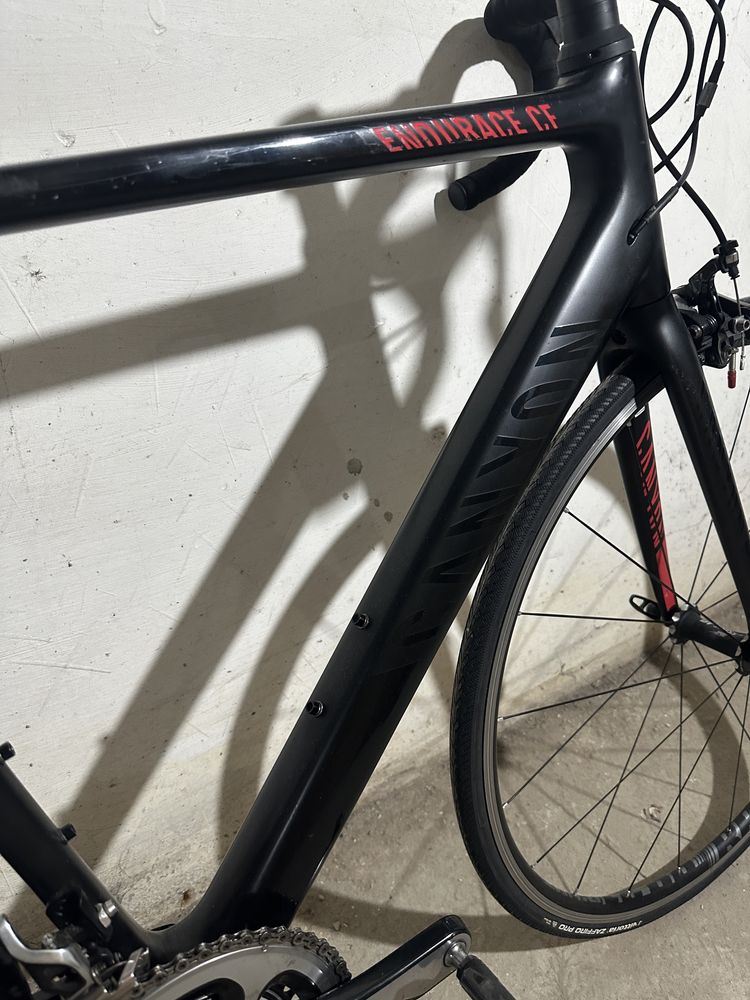 Cursiera Carbon Canyon Endurace CF/Dura Ace