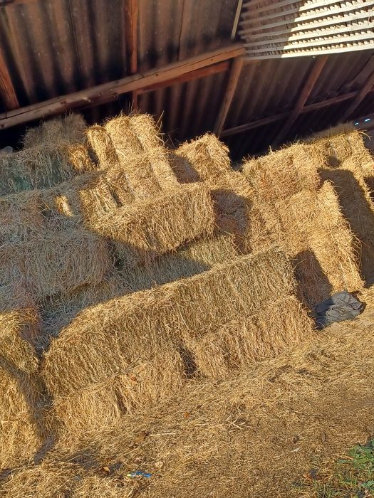 Baloți de lucernă și fân
