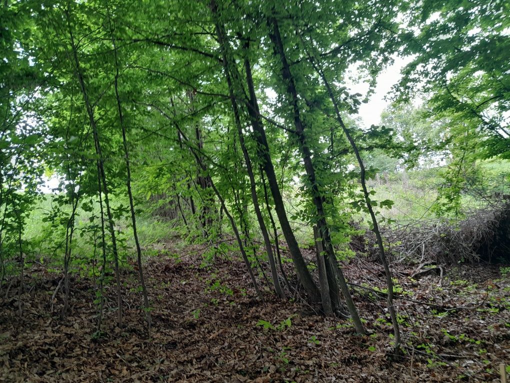 Teren de vânzare intravilan.