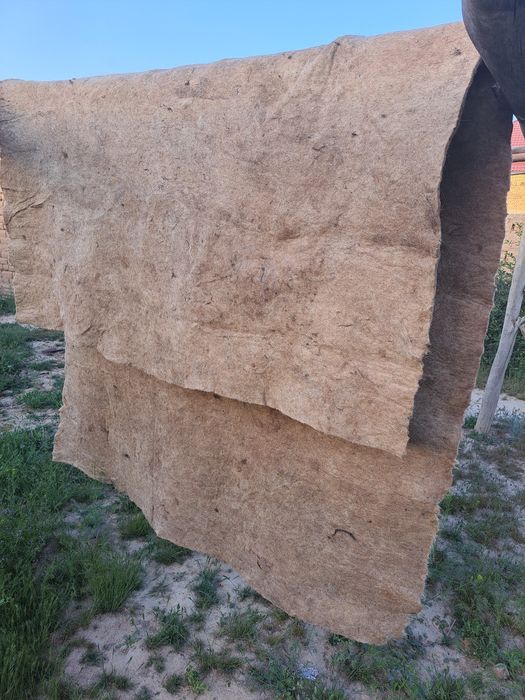 Киіз ақшыл түсті