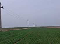 Teren pentru Parc Fotovoltaic- 60 ha comasat