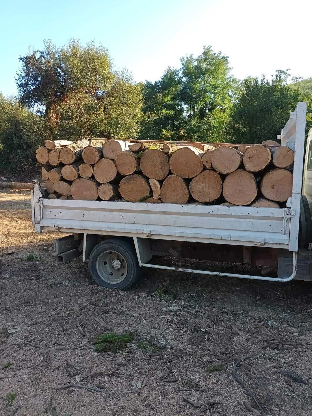 Lemne de foc  de  esenta tare