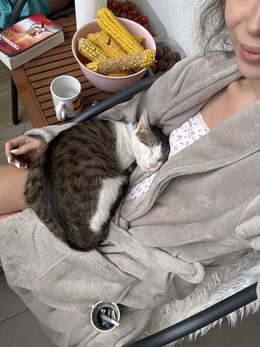 Pet sitter Floresti -Cluj-Napoca
