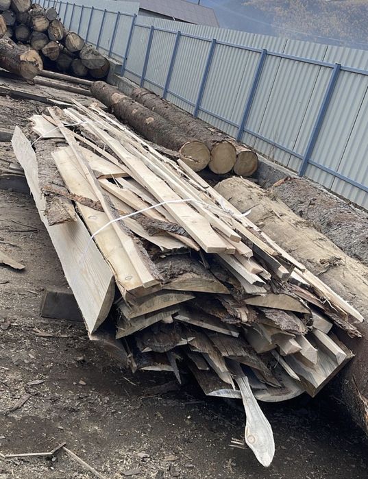 Deseuri rasinoase brad