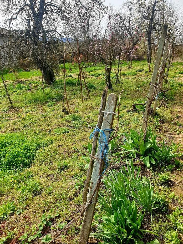 Продава се Къща в с. Миндя, Област Велико Търново - 100 кв.м за 370 €/кв.м - Снимка #9