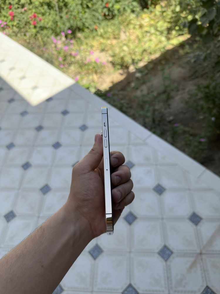 Iphone 12 pro max gold