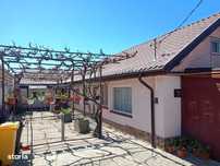 Casa Viile Noi,  6 camere, 579 mp