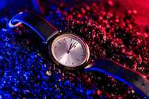 часовник Ted Baker
