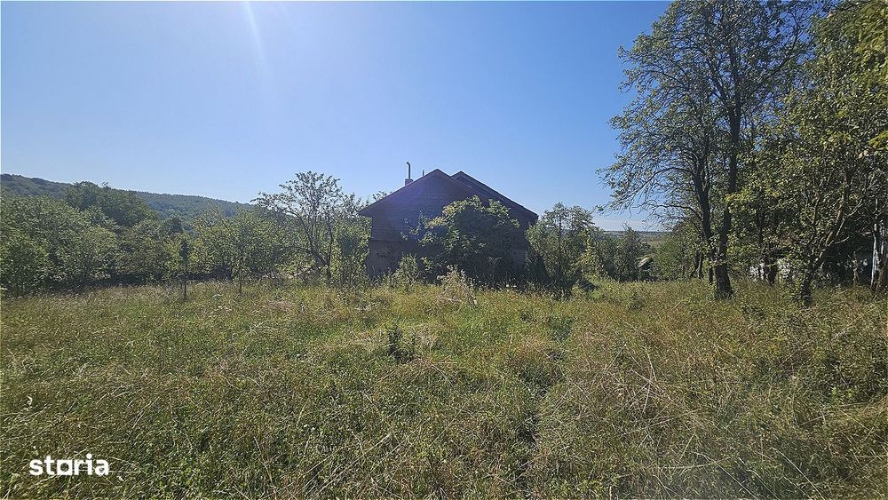 Proprietate cu potential turistic in sat Pietroasa, com. Moldovenesti,