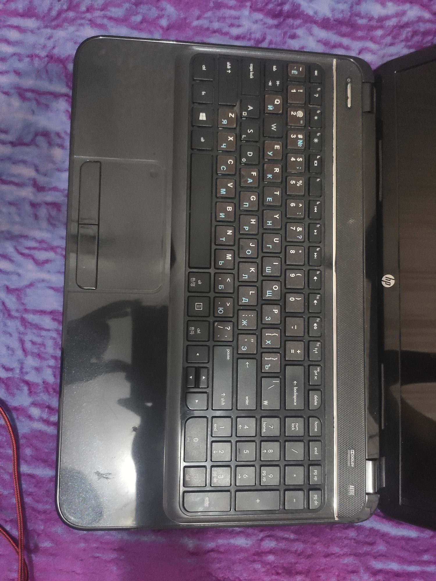 Shaxsiy HP Noutbuk (mishka va kovrik sovga)