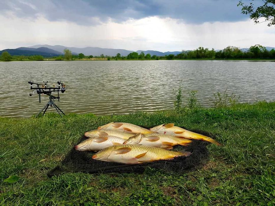 Balta de pescuit Arad - Pescari