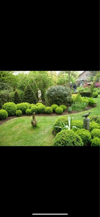 Amenajari gradini , gazon rulou&plante