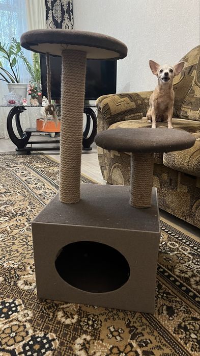 Домик для кошки с когтеточкой