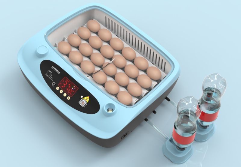 Инкубатор на 24 яйца