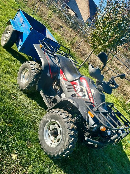 ATV Linhai 300, an 2007