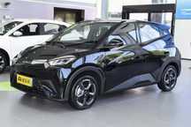 BYD Seguall halol nasiya muddatli tulov asosida ozizi nomizga moshina