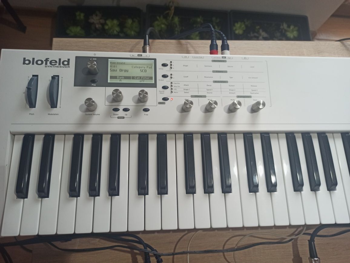 Waldorf Blofeld keyboard in garanție