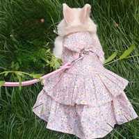 Ham-rochita cu lesa pentru iepuri, pisici