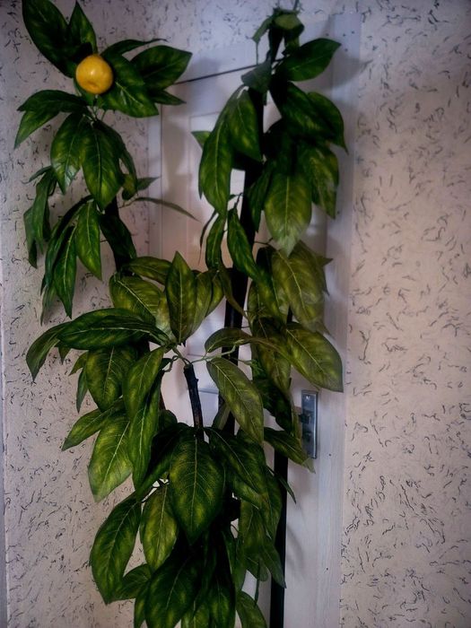 Срочно высокие искусственные деревья высота 1.90. Читайте опесание