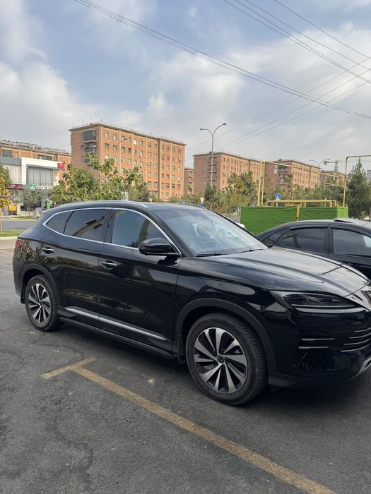 Byd song plus chempion