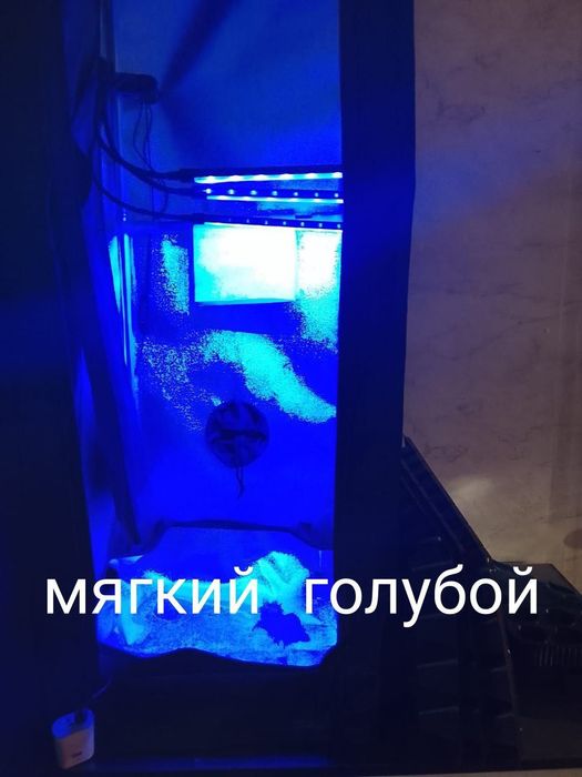 Продаётся Growbox с подарками внутри