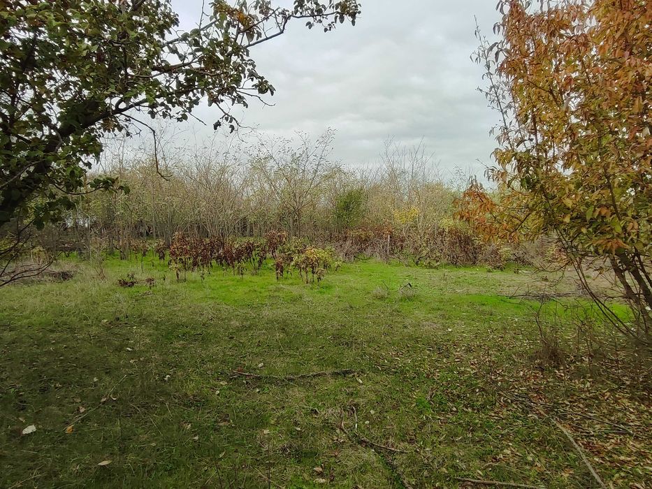 Стара къща във Ведрина