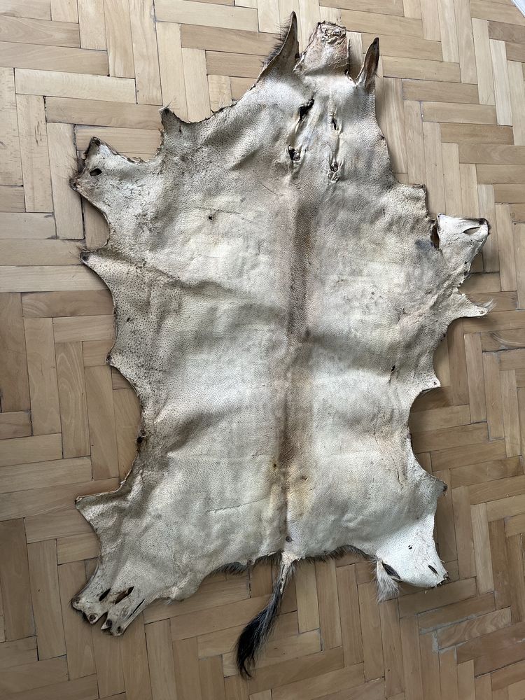 Кожа от Глиган Диво прасе