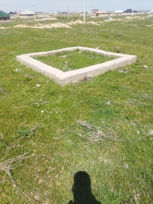 Шубарсуда 12сот жер бар.