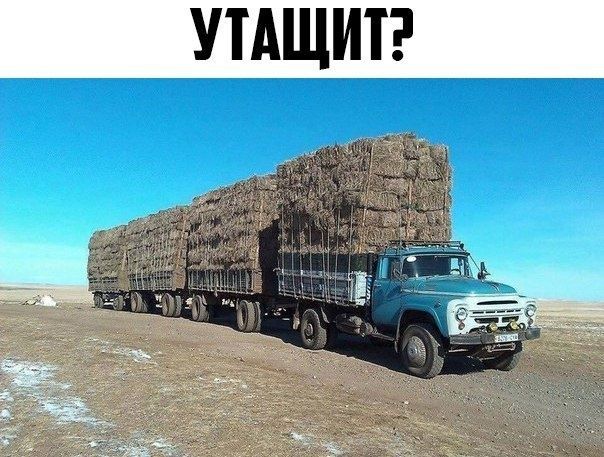 Продам сено люцерна,  салома