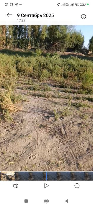 Янгийул Хамракулда 3 сутих ер сотилади