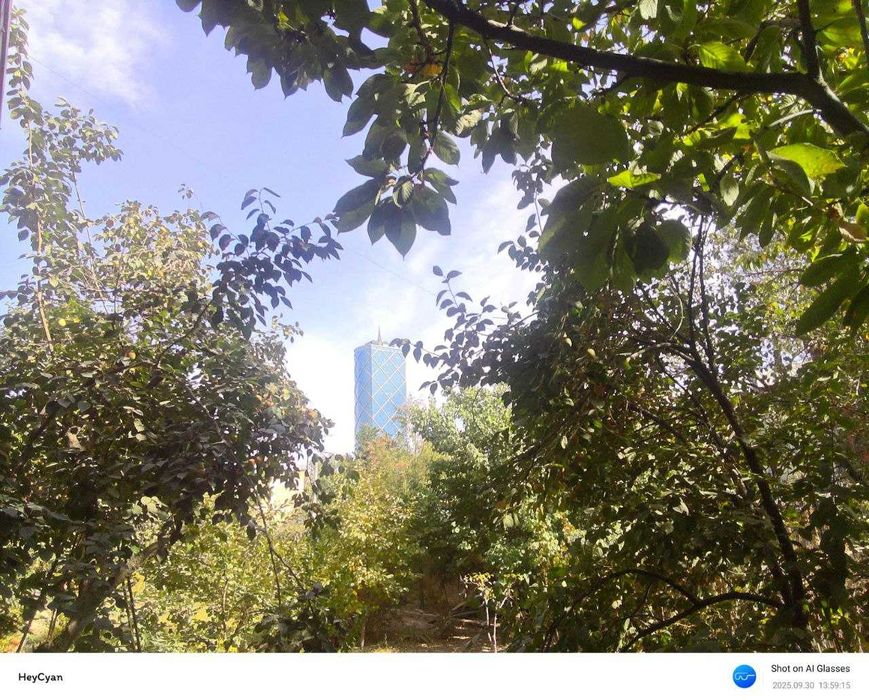 AI Glasses, Aqili ko'zoynak , Video va Suvratga olish imkonyati
