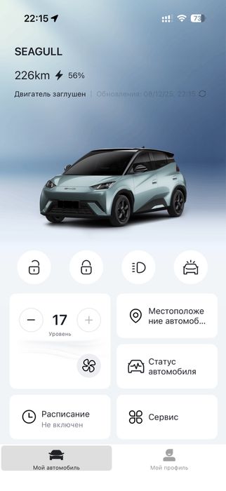 Официальный BYD Seagull  16200$