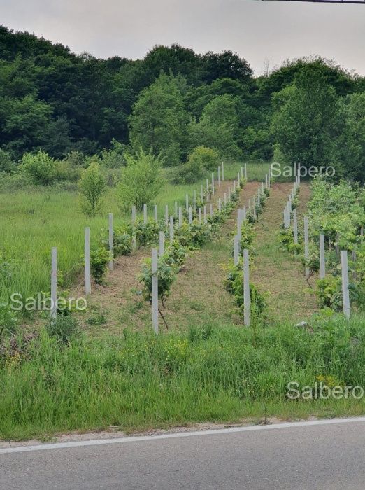 Spalieri si Stalpi din beton, Tg-Jiu, Scoarta.