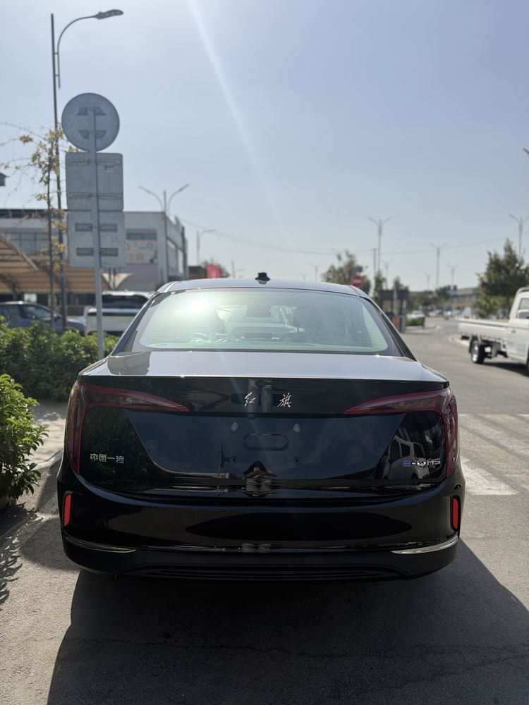 HONGQI E-QM 5 Travel (450 km)