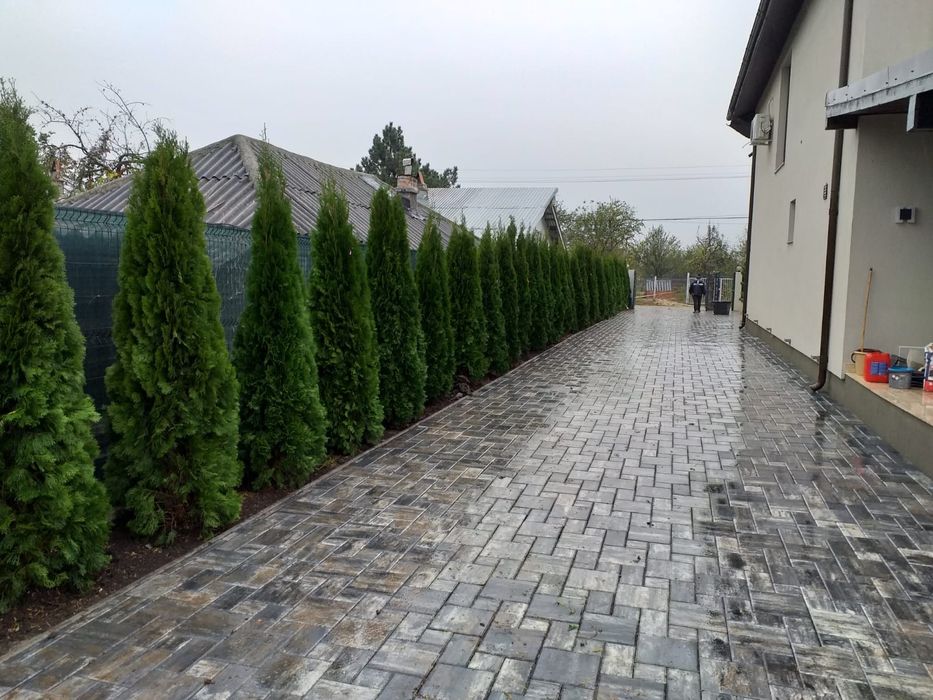 Pământ negru, gazon,sistem irigare,săpături, nivelare teren, tuia gard