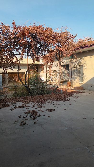 Срочно сотилади Жиззах шахар Олмазор махаллада 4 сотокли ховли уй