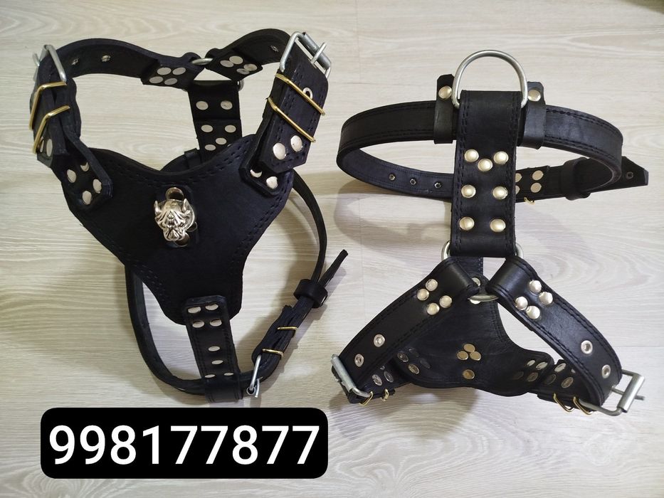 Ашейник шилейка павадок