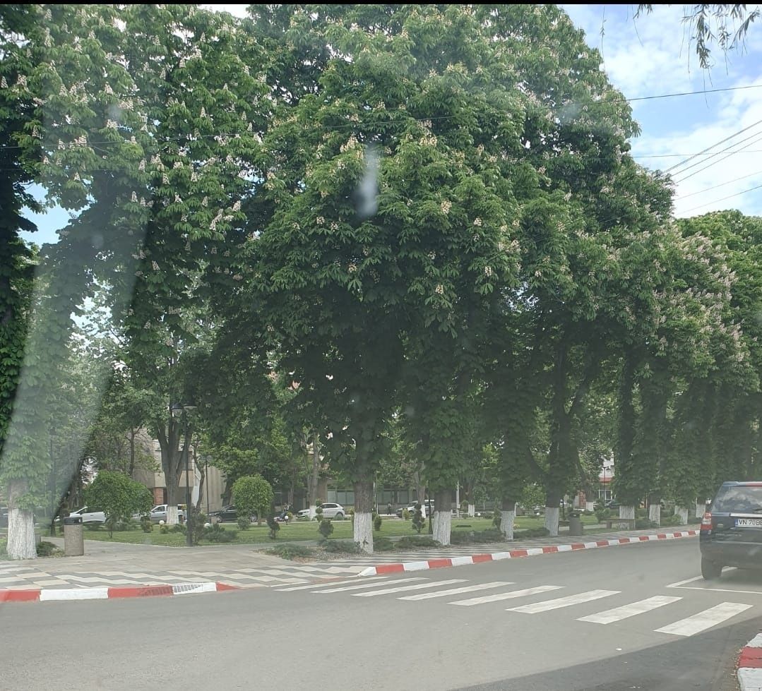 Spațiu comercial -Oras Mărășești ,zona gara